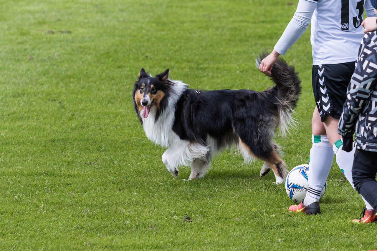 Bild 147 - Frauen SV Henstedt Ulzburg2 : TSV Schoenberg : Ergebnis: Abbruch